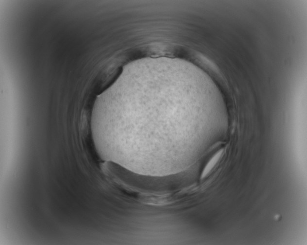 X0000083580121200703091706