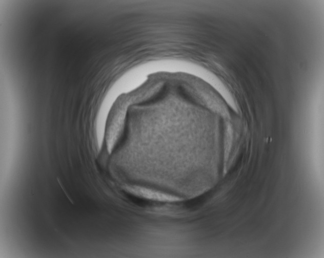 X0000083580125200703091706