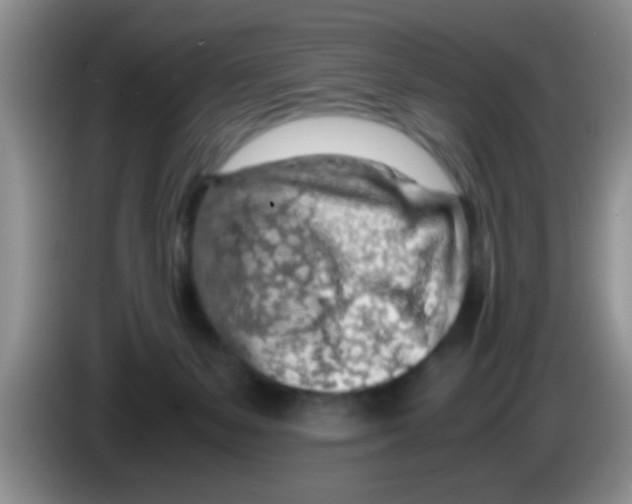 X0000083580127200703091706