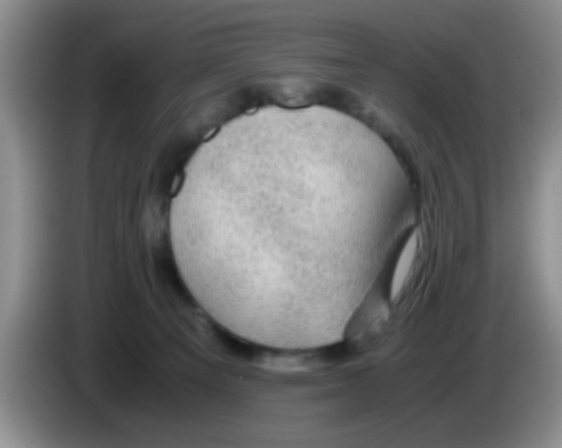 X0000083580129200703091706