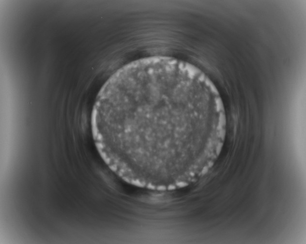 X0000083580130200703091706