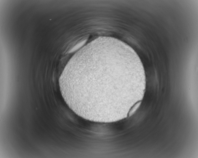 X0000083580132200703091706