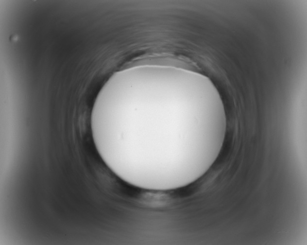 X0000083580133200703091706