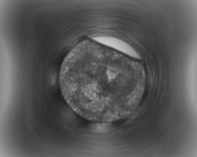 X0000083580134200703091706