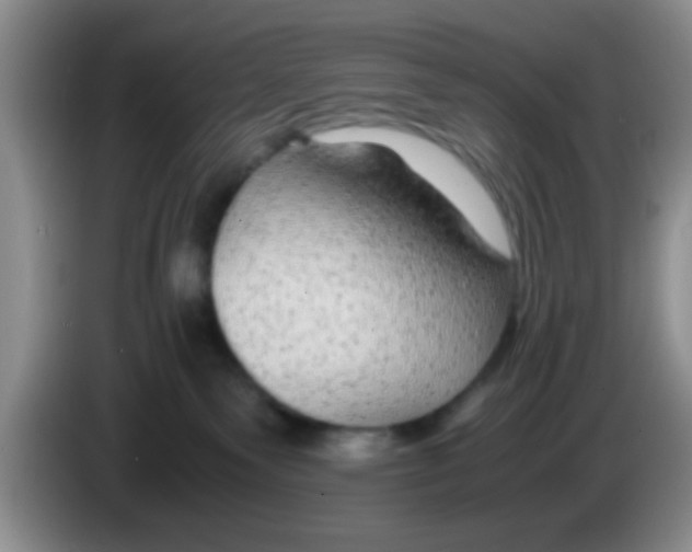 X0000083580135200703091706