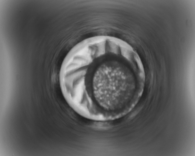 X0000083580137200703091706