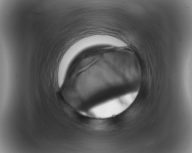 X0000083580139200703091706