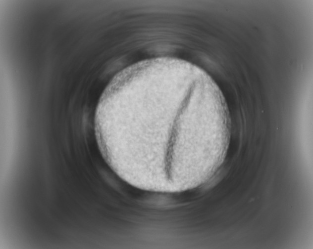 X0000083580140200703091706