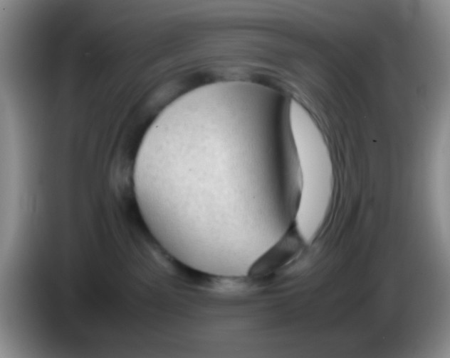 X0000083580141200703091706