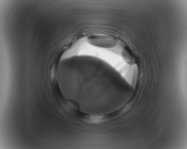 X0000083580143200703091706