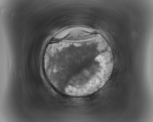 X0000083580145200703091705