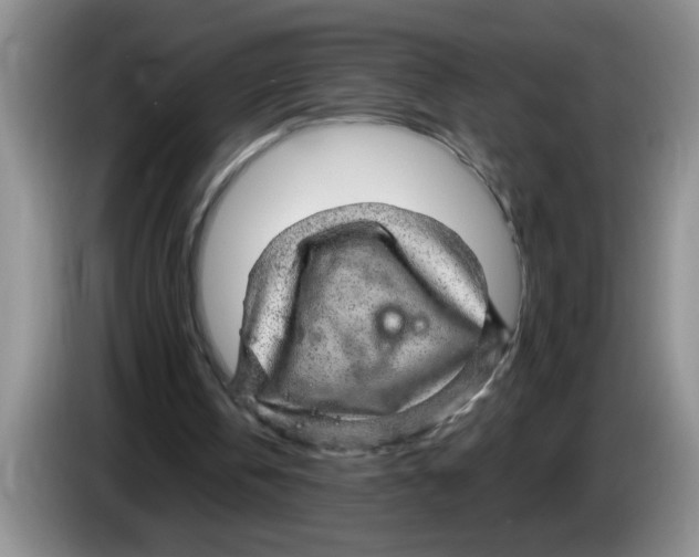 X0000083580146200703091705