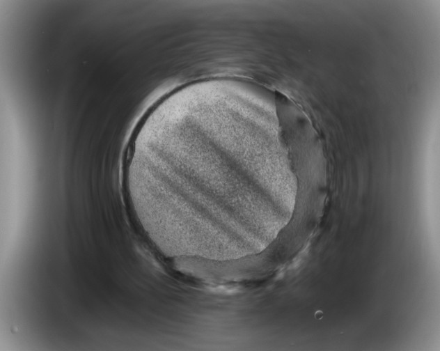 X0000083580148200703091705