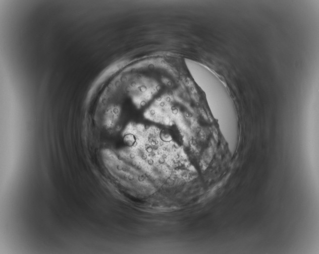 X0000083580149200703091705