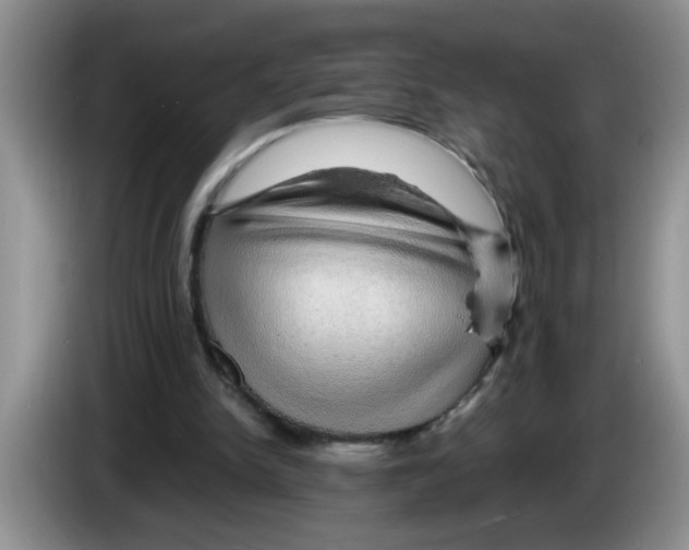 X0000083580150200703091705