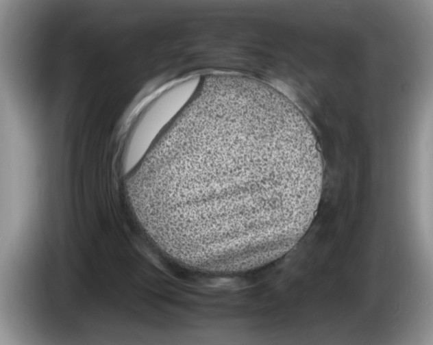 X0000083580151200703091705