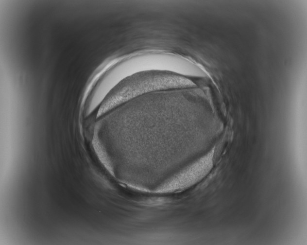 X0000083580152200703091705