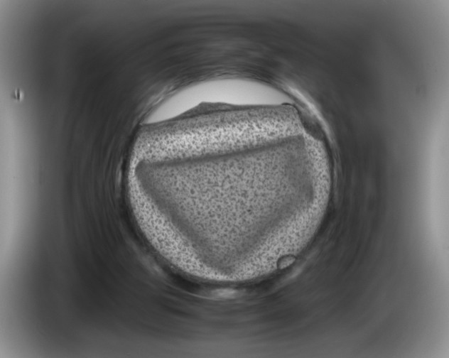 X0000083580153200703091705