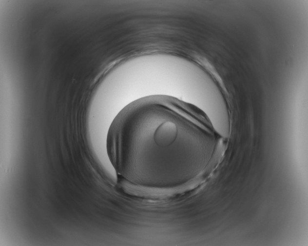 X0000083580154200703091705