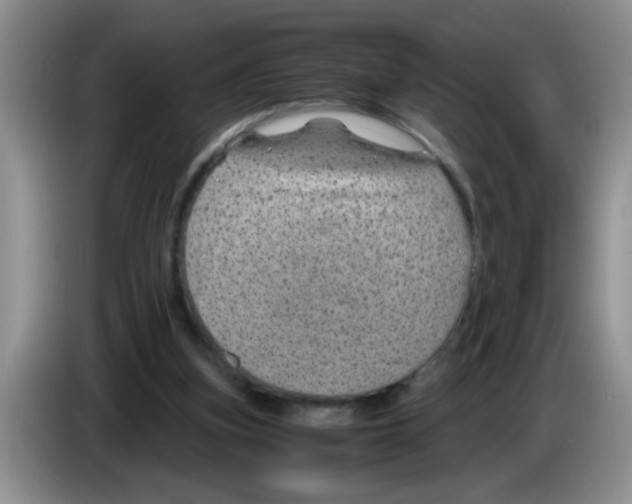 X0000083580155200703091705