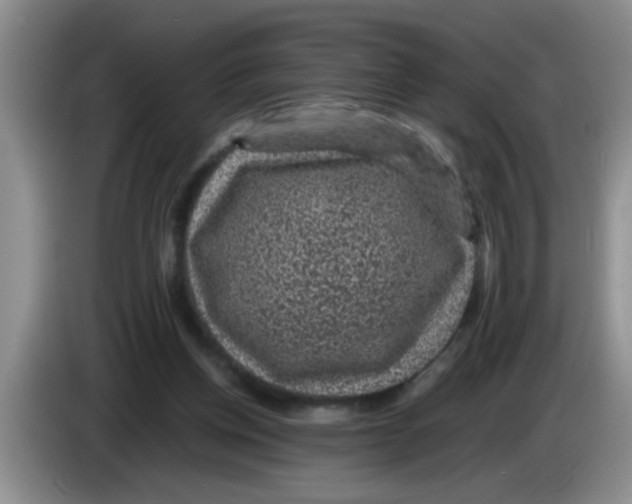 X0000083580158200703091706