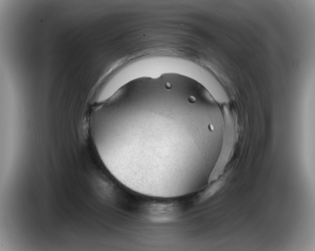 X0000083580160200703091706