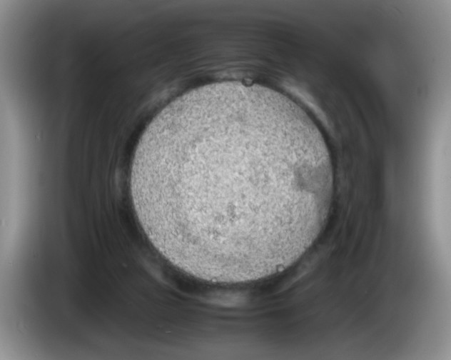 X0000083580161200703091706