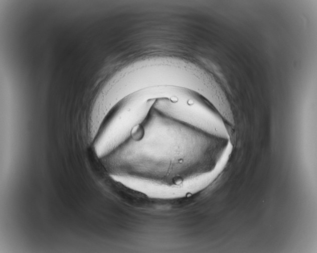 X0000083580162200703091706