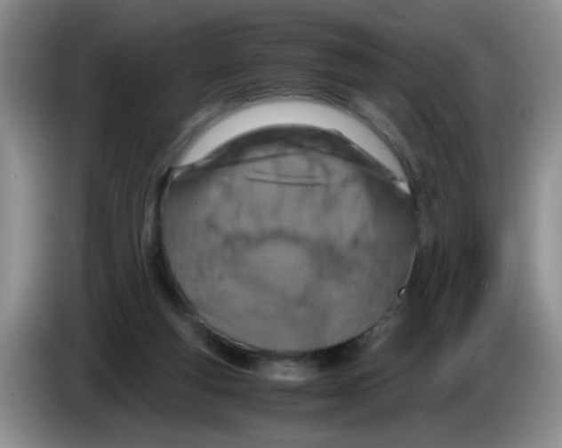 X0000083580163200703091706