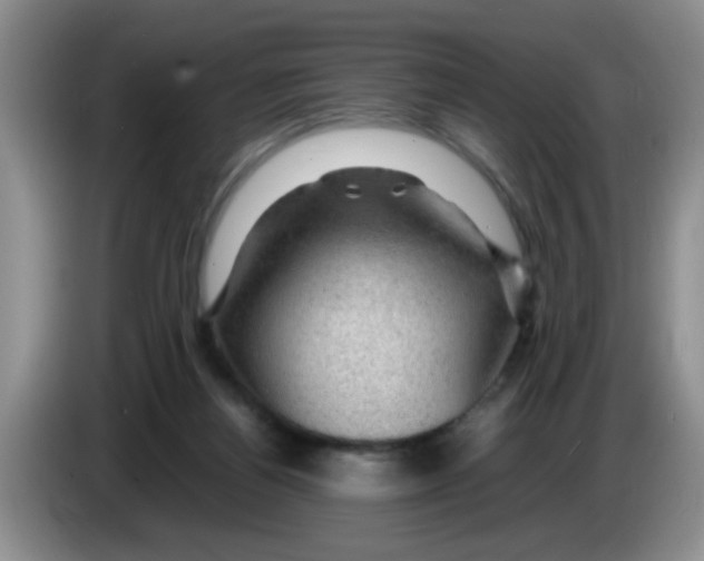 X0000083580164200703091706