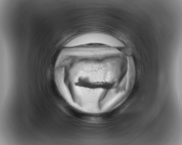 X0000083580165200703091706