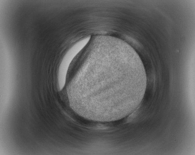 X0000083580166200703091706