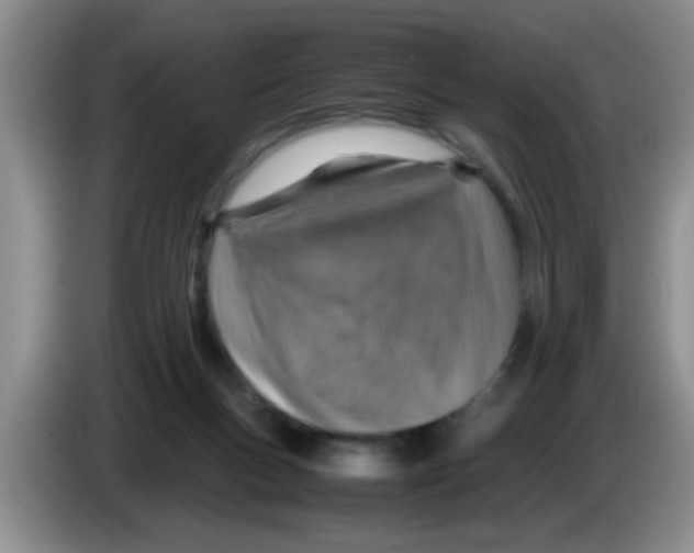 X0000083580167200703091706