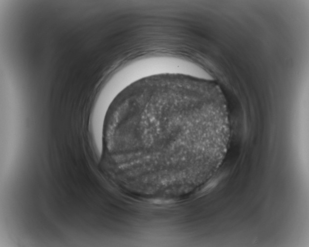 X0000083580168200703091706