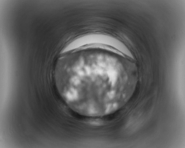 X0000083580169200703091706