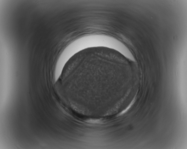 X0000083580170200703091706