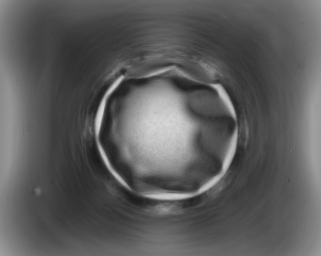 X0000083580172200703091706
