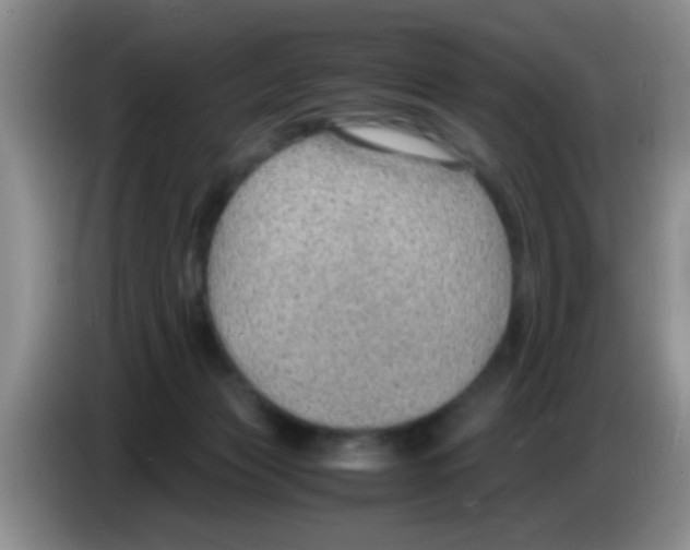X0000083580173200703091706