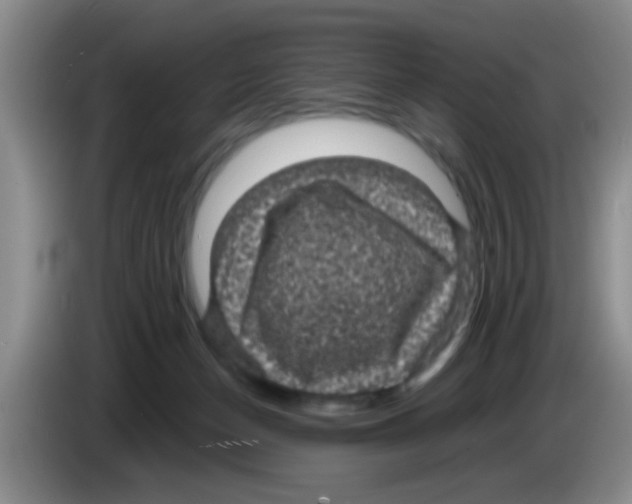 X0000083580174200703091706