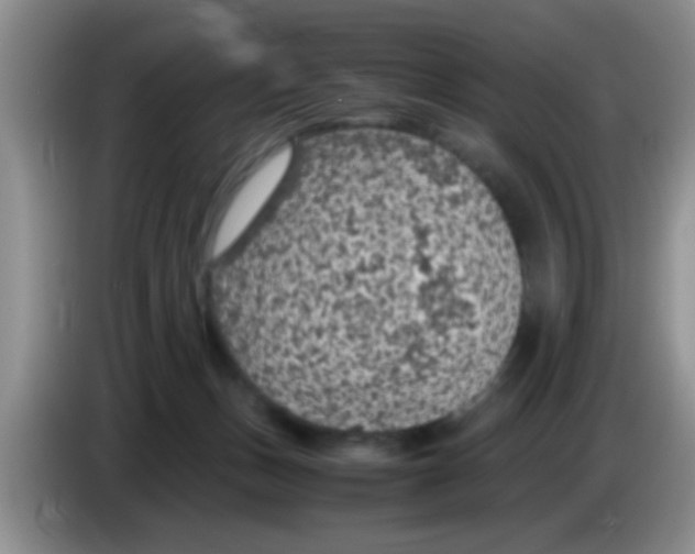 X0000083580175200703091706