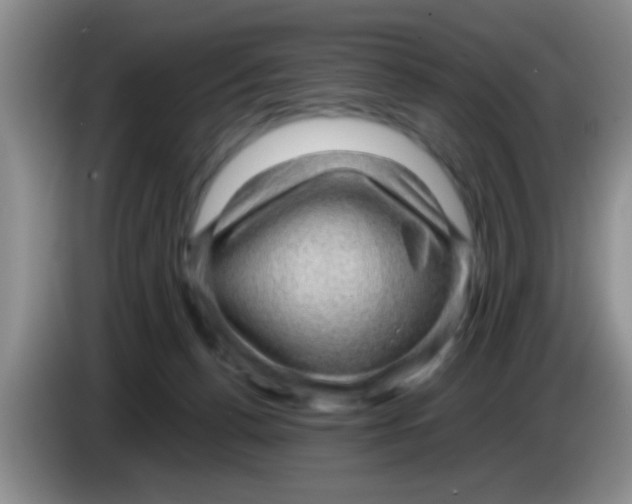 X0000083580176200703091706
