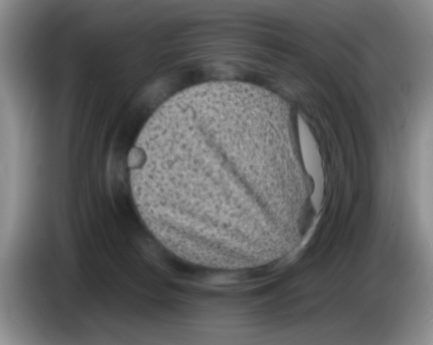 X0000083580178200703091706