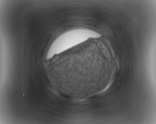 X0000083580179200703091706