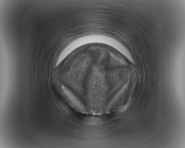 X0000083580180200703091706