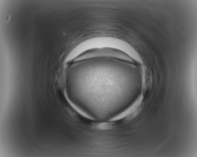 X0000083580184200703091706