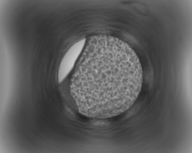 X0000083580185200703091706