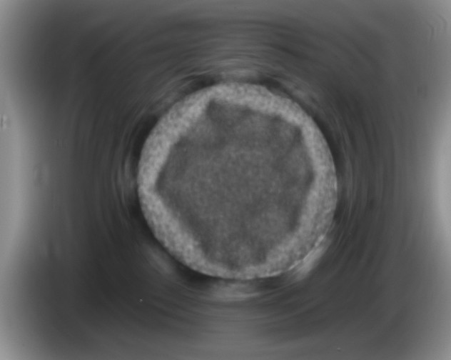 X0000083580186200703091706