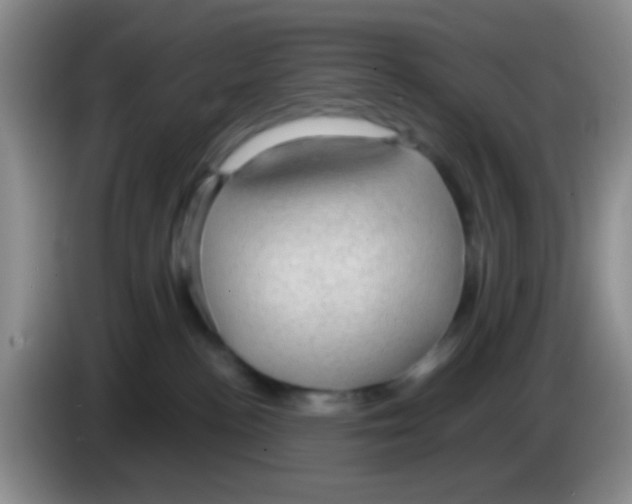 X0000083580188200703091706