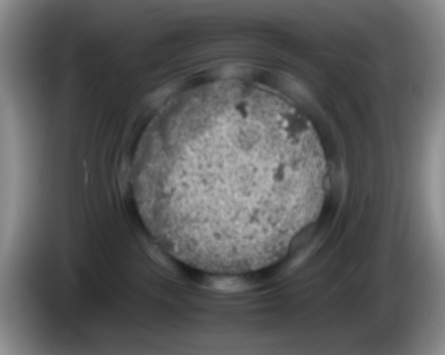 X0000083580189200703091706