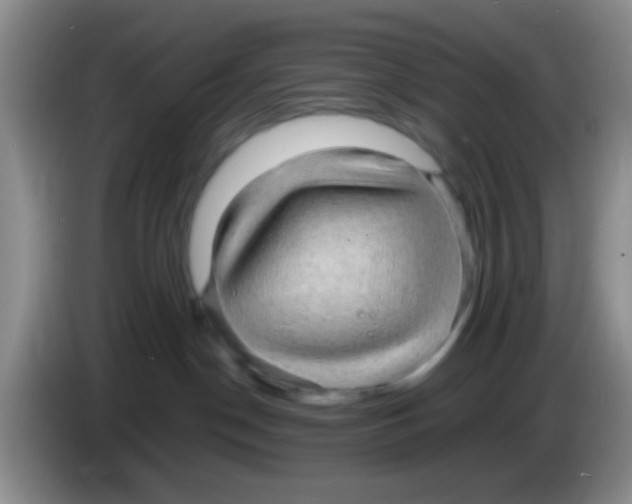 X0000083580190200703091706